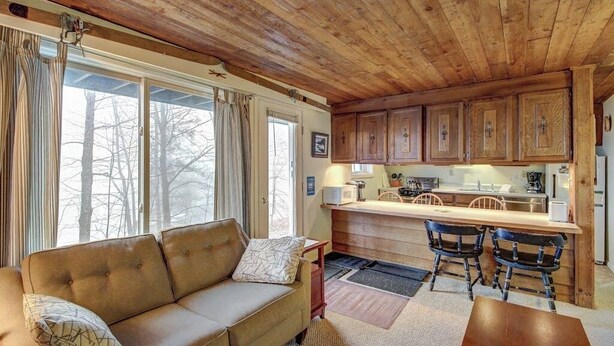 Een gezellig interieur van een chalet met een bank, eettafel, stoelen, houten kasten en een keukenhoek.