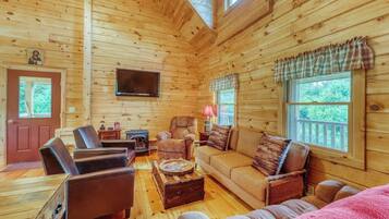 TV, fireplace, books