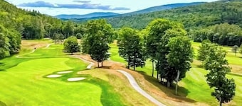 6 Cozy Condos in the heart of Ludlow, fireplace, kitchenettes, shuttle nearby