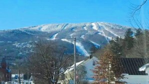 Une montagne avec une piste de ski, une route et des bâtiments au premier plan.