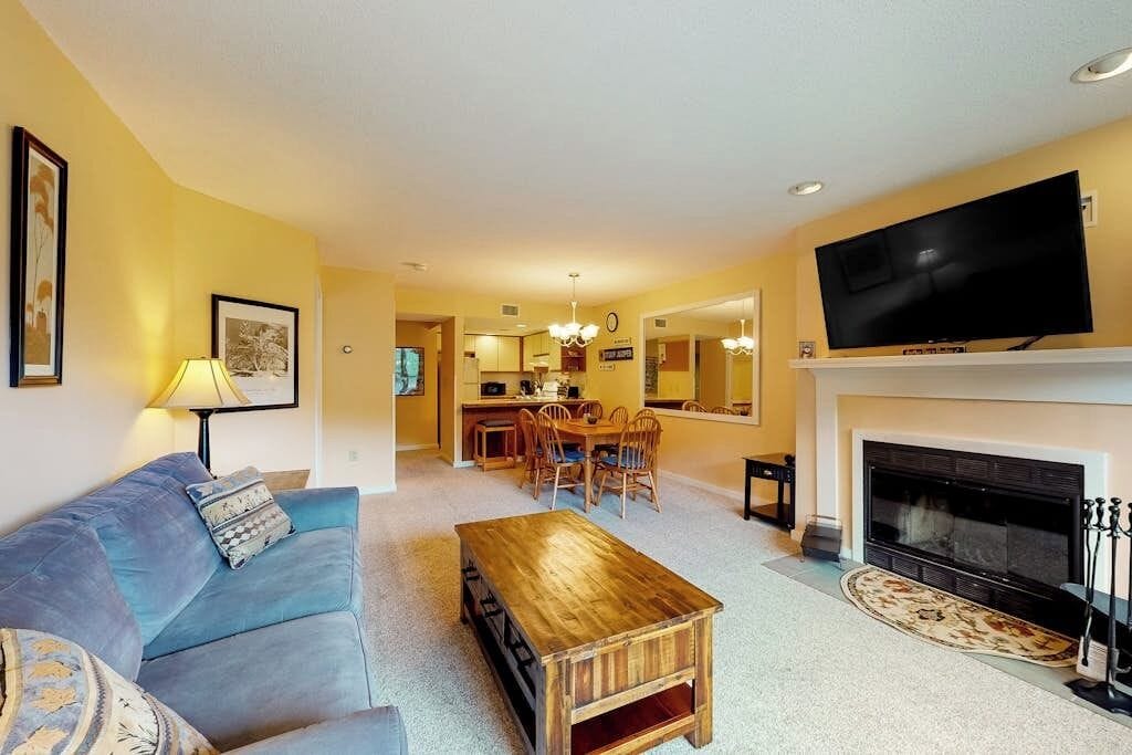 TV, fireplace, DVD player
