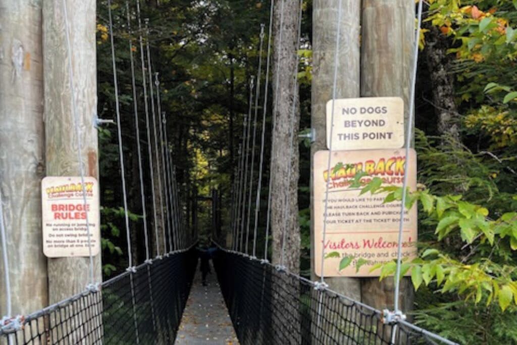 A suspension bridge with signs indicating 'NO DOGS BEYOND THIS POINT' and 'BRIDGE RULES.'