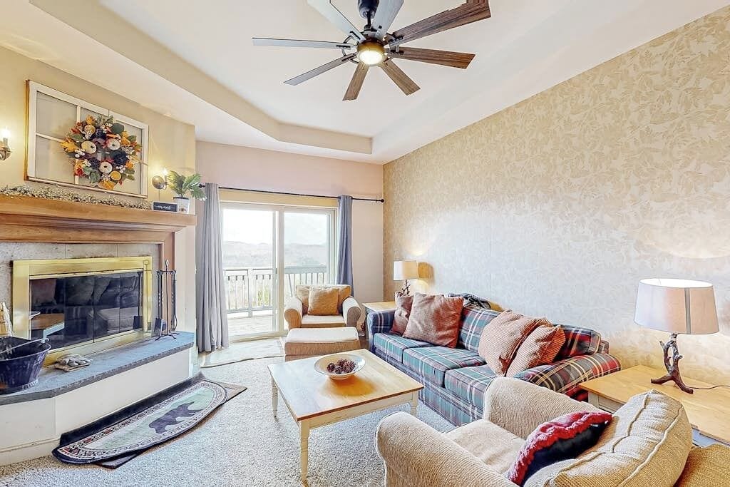TV, fireplace, DVD player, books