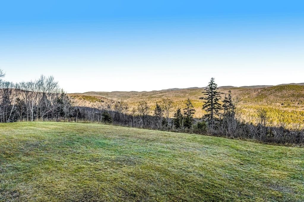 A grassy field with trees and hills in the background.