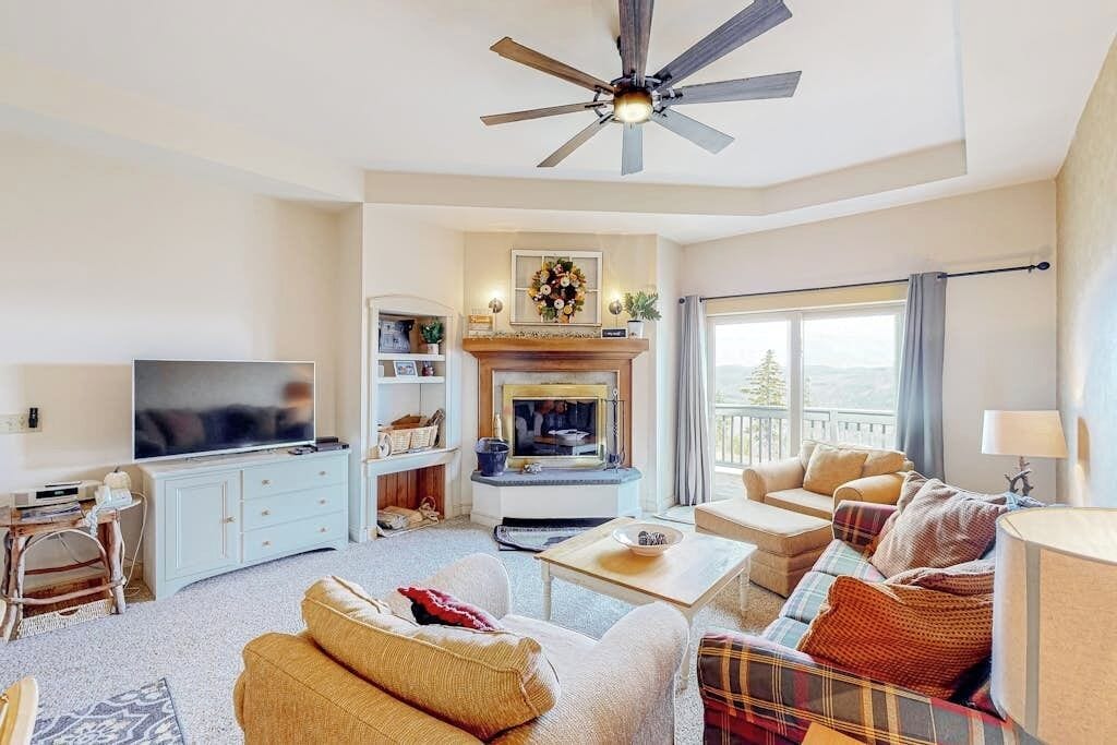 TV, fireplace, DVD player, books