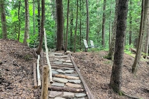 Ein steiniger Pfad in einem Wald mit Bänken.