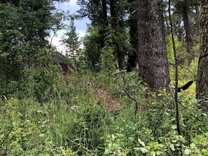 Miscellaneous - Glamp Palazzo at Camp Little Lemhi (Swan Valley)