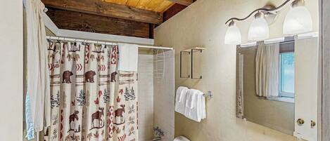 Shower, hair dryer, towels