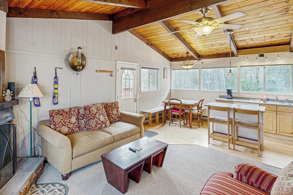 TV, fireplace, DVD player