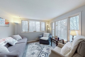 A cozy living room with a sofa, armchair, and a patterned rug. - Dog-friendly home w/ WiFi, private washer/dryer, and electric fireplaces (West Dover)