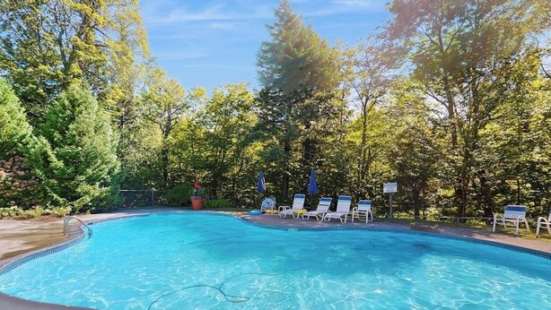 Ein klares Schwimmbecken, umgeben von Bäumen und Liegestühlen.