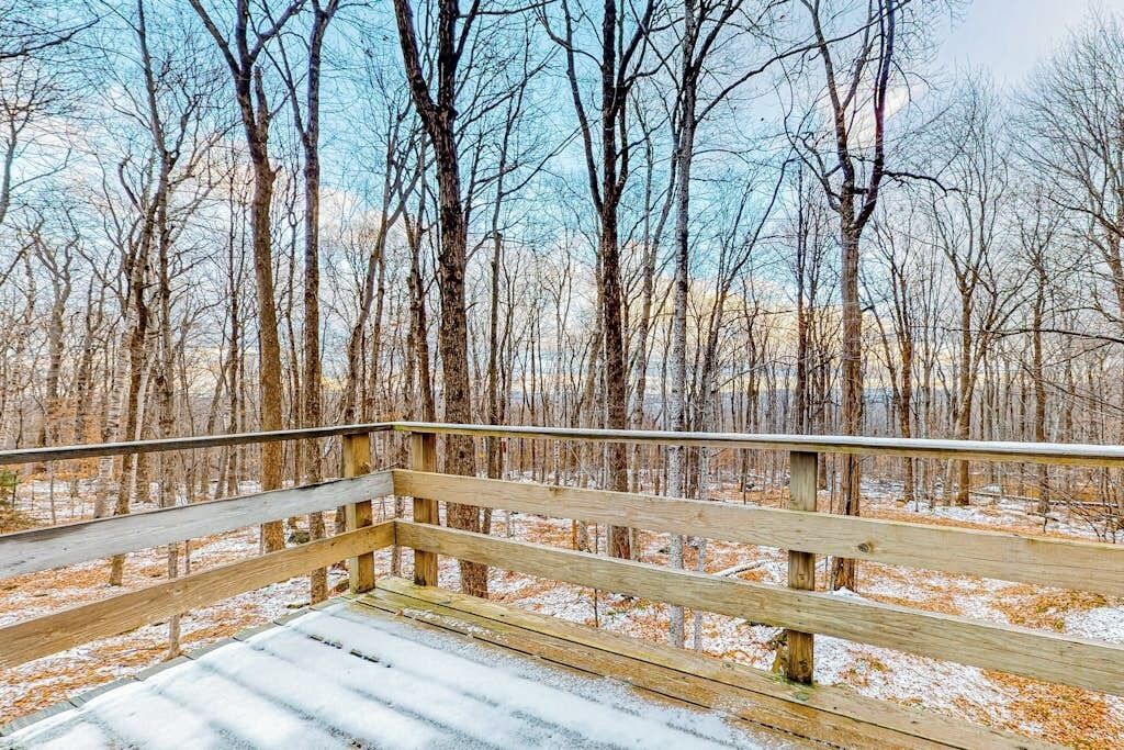 Eine Holzterrasse mit Geländer, umgeben von kahl stehenden Bäumen und schneebedecktem Boden.