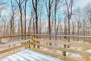 Eine Holzterrasse mit Geländer, umgeben von kahl stehenden Bäumen und schneebedecktem Boden.