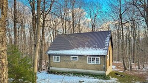 A cabin with a sloped roof, surrounded by trees and a snow-covered ground. - Classic Vermont cabin with forest views, pools, hot tub & gym (Wilmington)