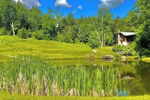 Eine Hütte, umgeben von einem Teich, Wiesen und dichtem Baumbestand.
