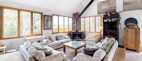 TV, fireplace, books, stereo