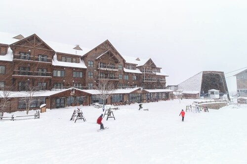 Ski-in/ski-out Dual-condo getaway w/mountain views, fireplace