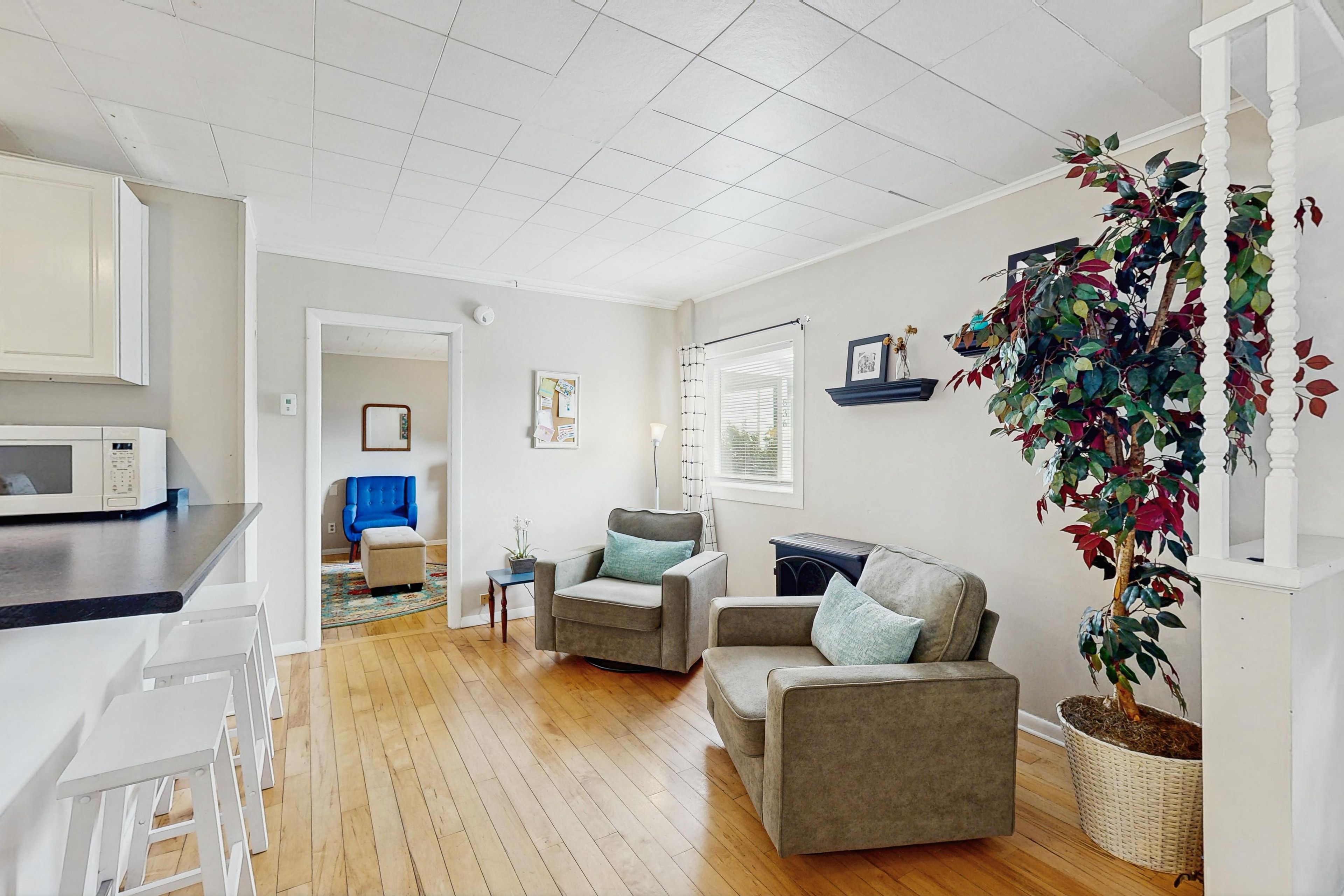A modern living room with a sofa, armchairs, a dining area with a microwave, and a large potted plant.