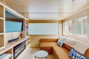 TV, fireplace, books