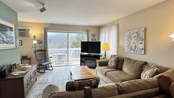TV, fireplace, DVD player