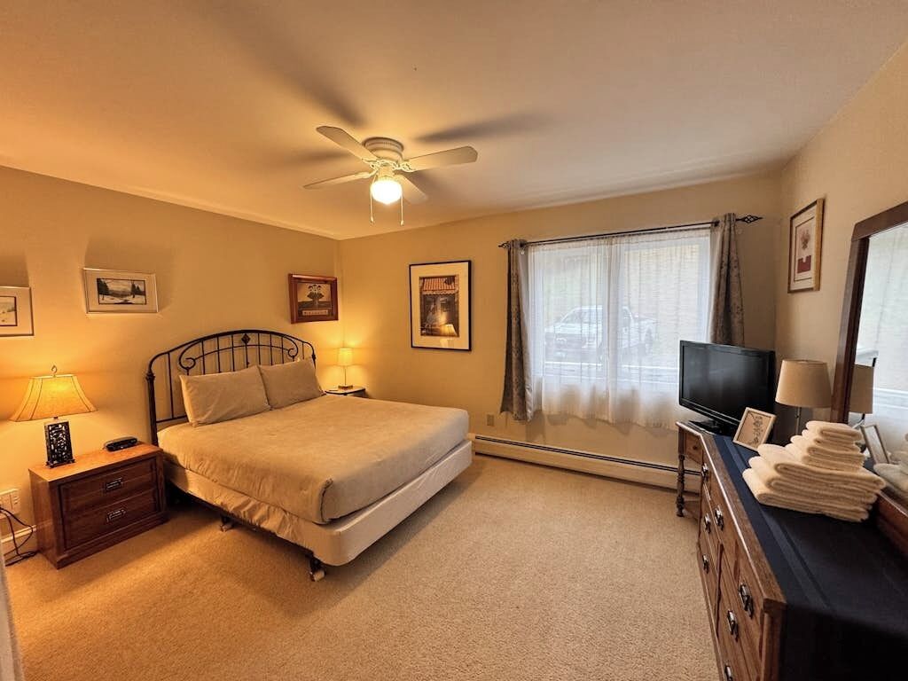 Iron/ironing board, WiFi (free), bed sheets