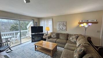 TV, fireplace, DVD player