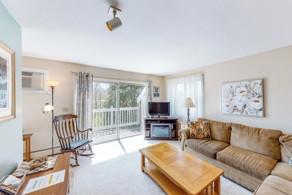TV, fireplace, DVD player