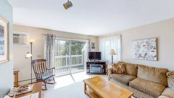 TV, fireplace, DVD player