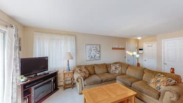 TV, fireplace, DVD player