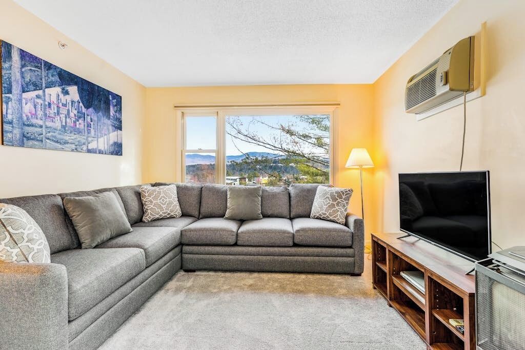 TV, fireplace, DVD player