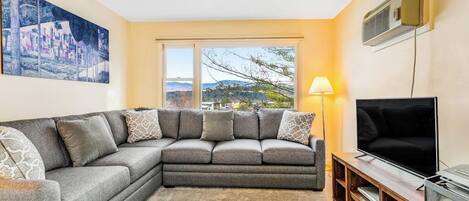TV, fireplace, DVD player