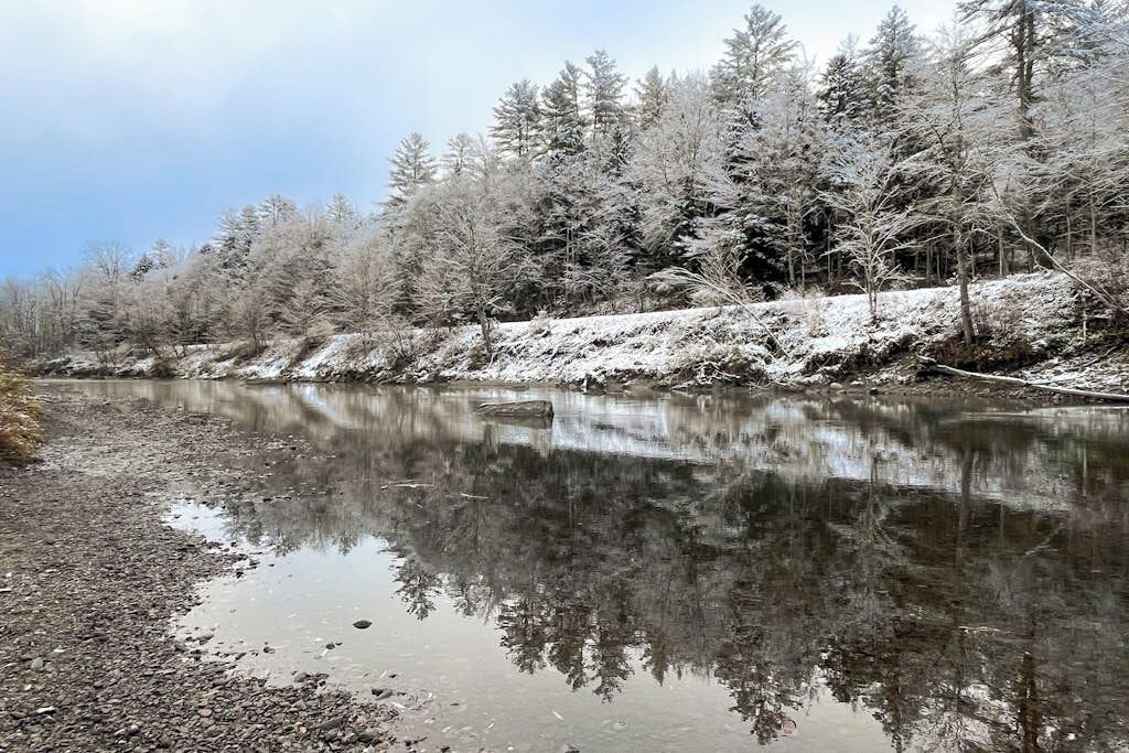 Ein Fluss mit Bäumen, deren Spiegelung sich im Wasser zeigt, umgeben von einem Wald.