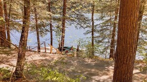 Ett skogsområde med en grusväg som leder till en brygga vid ett vattendrag.