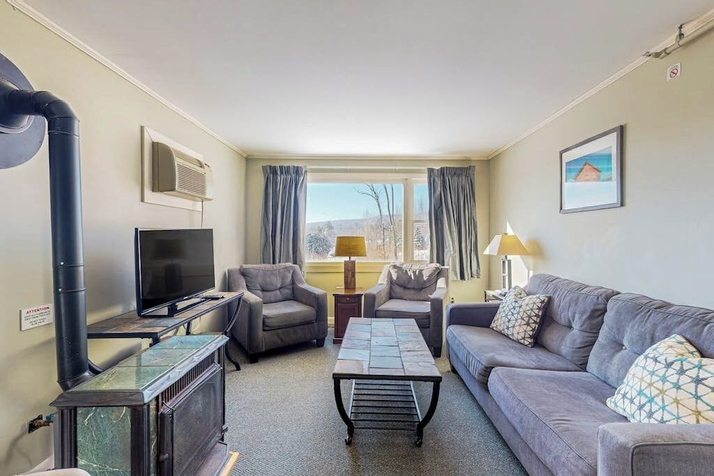 TV, fireplace, DVD player