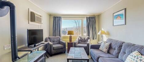 TV, fireplace, DVD player
