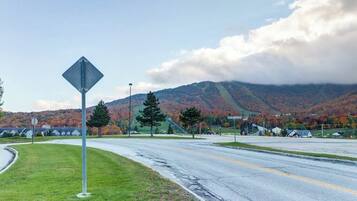 A road with a diamond-shaped sign, a grassy area, and a mountain with autumn foliage in the background.