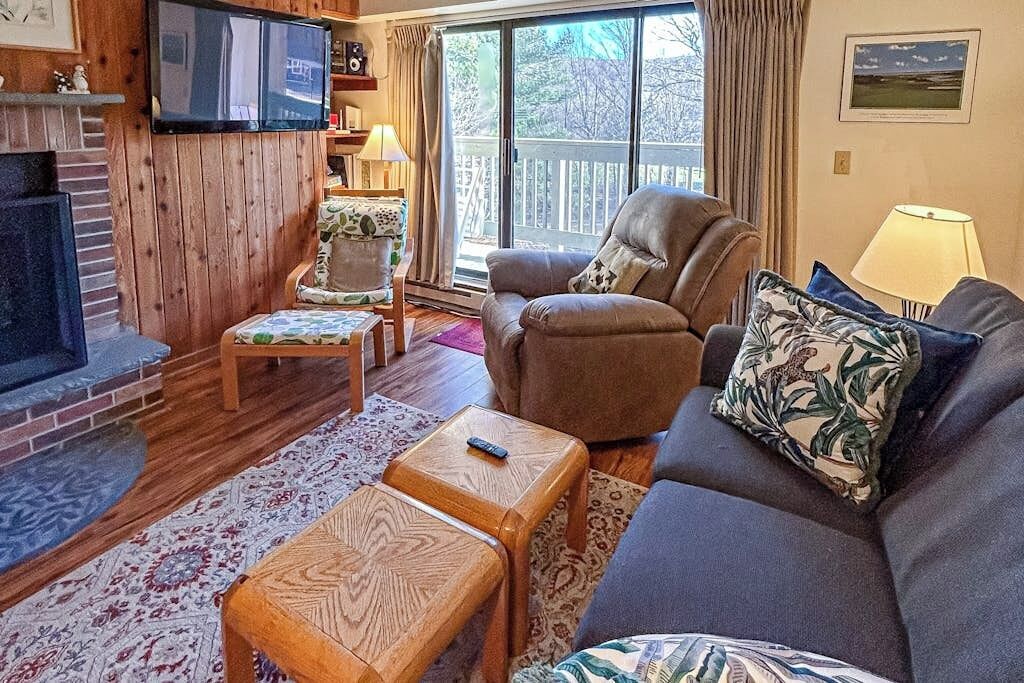 TV, fireplace, books