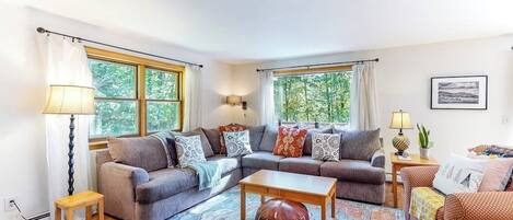 TV, fireplace, DVD player, books
