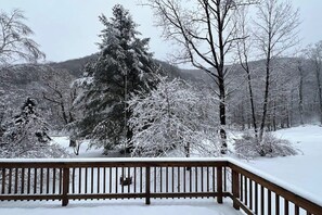 Paisatge nevós amb un pont de fusta i arbres coberts de neu.