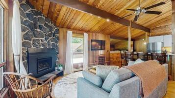 TV, fireplace