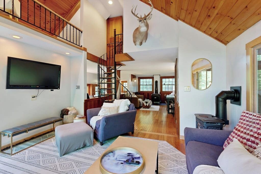 TV, fireplace, books