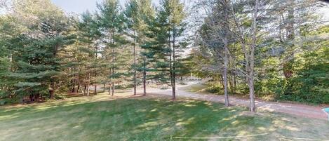 A view of a backyard with a lawn, trees, and a pathway.