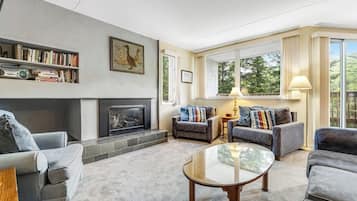 TV, fireplace, DVD player