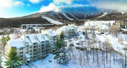 Cozy condo, electric fireplace, walk-to-lifts, balcony, views, wif