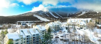 Cozy condo, electric fireplace, walk-to-lifts, balcony, views, wif