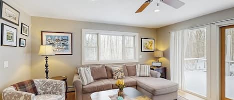 TV, fireplace, DVD player, books