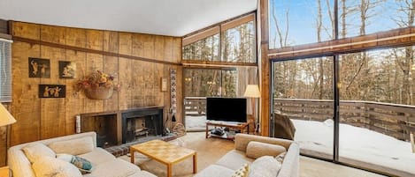 TV, fireplace, video library