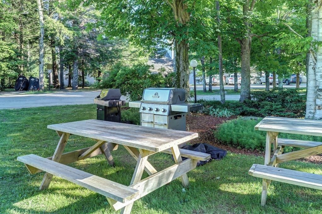 An outdoor picnic area with a grill, picnic tables, and surrounding greenery.