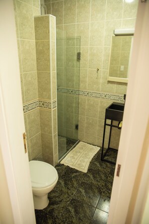 Douche, séchoir à cheveux, savon, papier de toilette