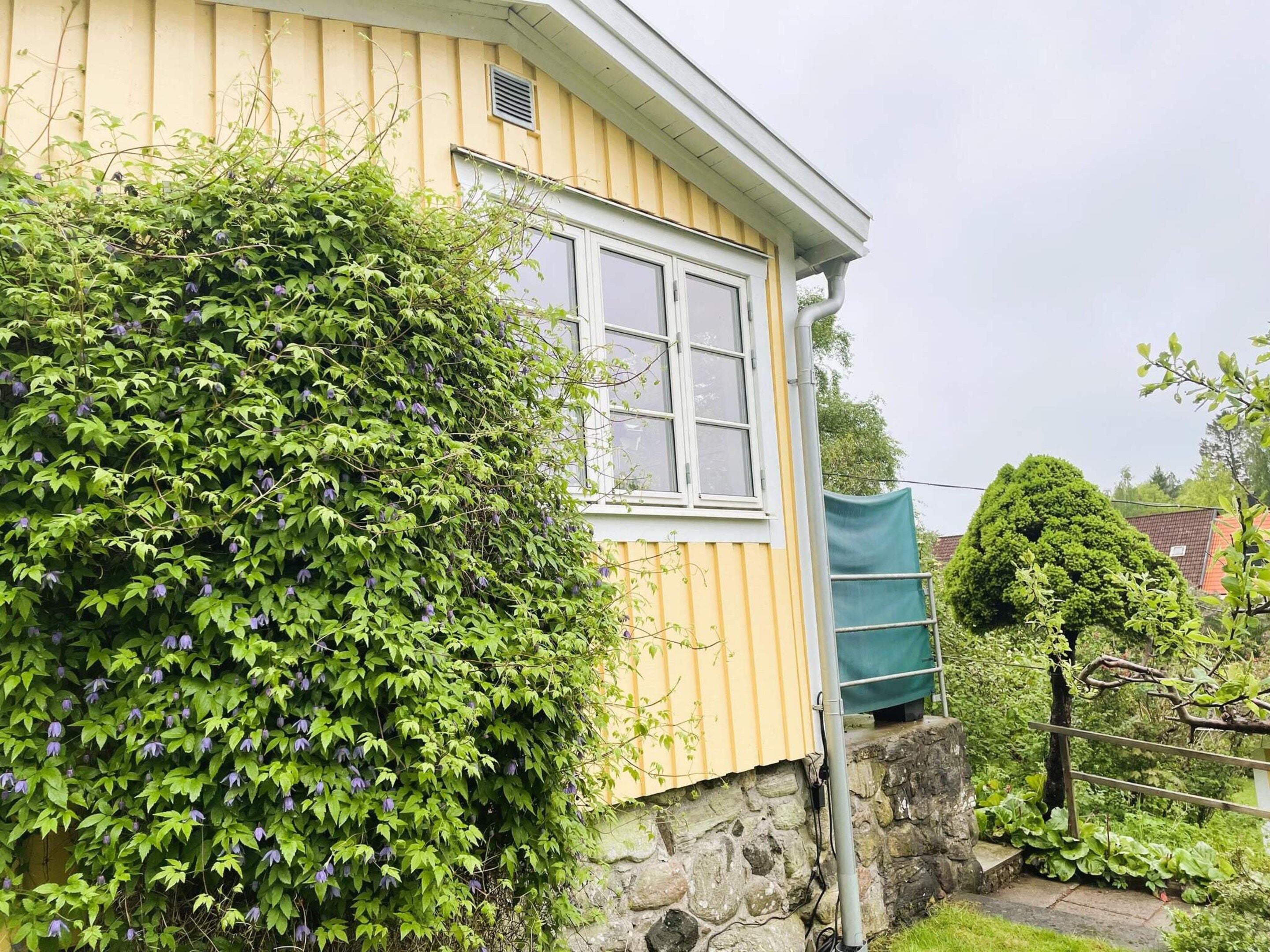 A house with a window, a stone wall, and a green bush.